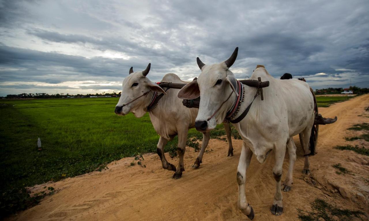 Madam Sokha Homesteading Siem Reap Bagian luar foto